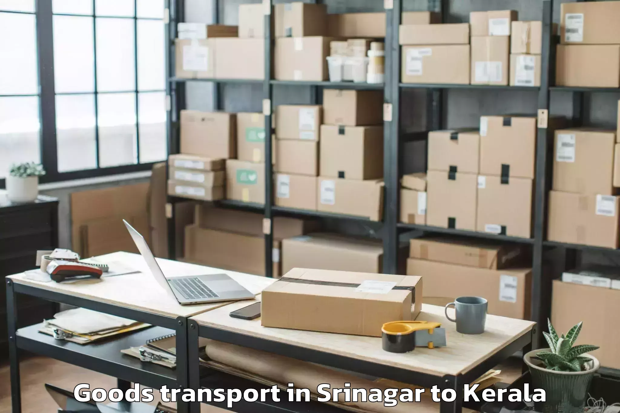 Leading Srinagar to Pala Goods Transport Provider